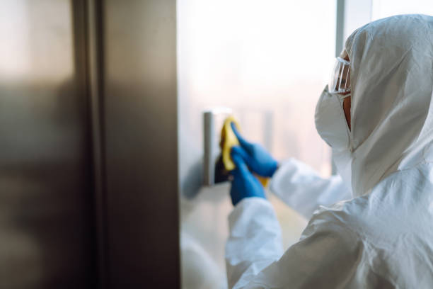 Best Mold Remediation  in Lake Montezuma, AZ